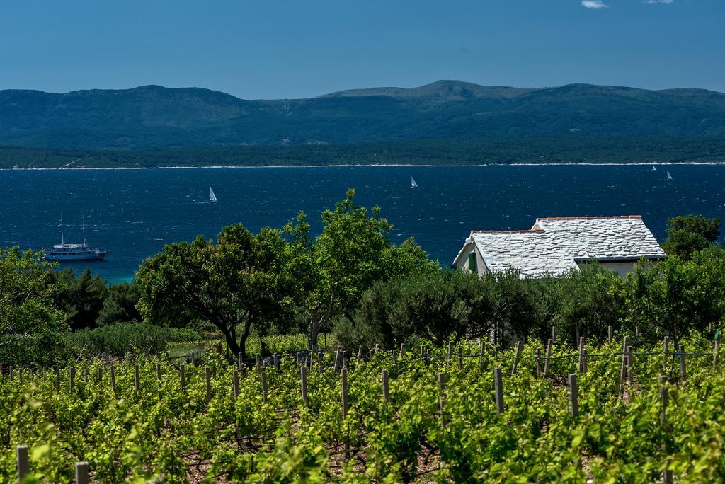 Holiday Home Vineyard House Bol Esterno foto